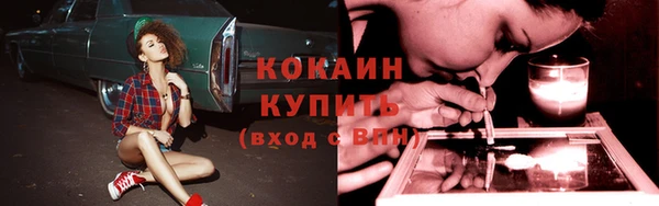 прущие крисы Аркадак