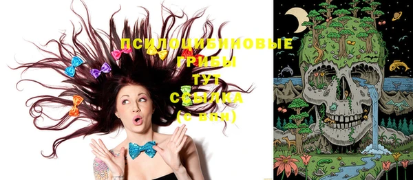 прущие крисы Аркадак