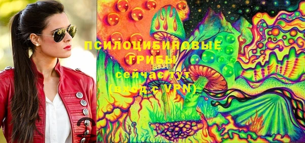 не бодяженный Арсеньев