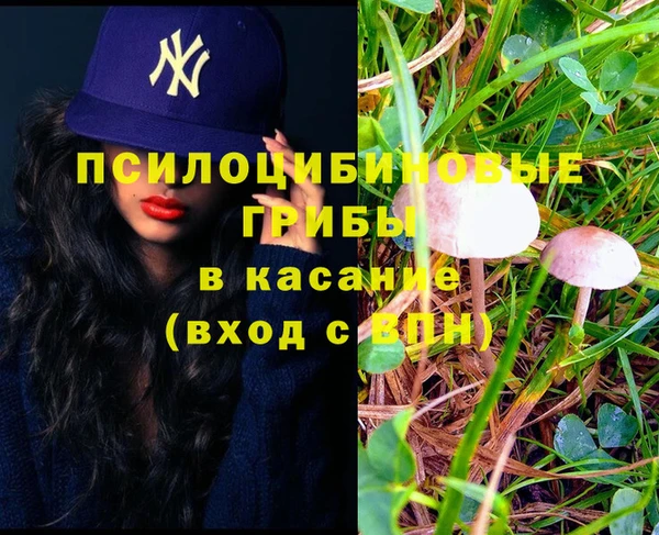 не бодяженный Арсеньев